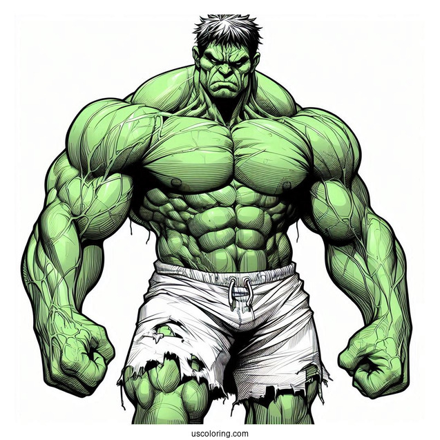 Angry Hulk Detailed For Adults
