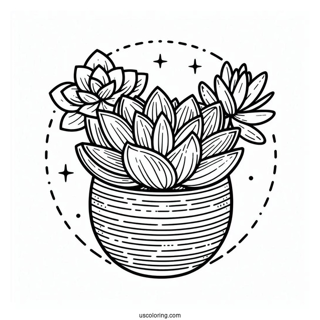 Simple Succulent Coloring Page Pot For Kids