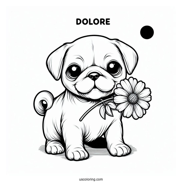 Pug Puppy Holding Flower In Mouth To Color