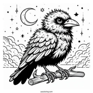 Angry Baby Raven Coloring Page In The Sky For Preschoolers
