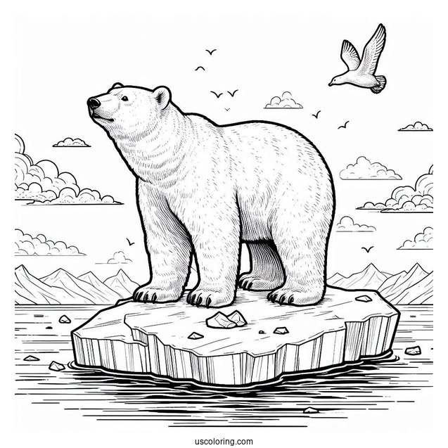 Adult Polar Bear On Piece Of Iceberg