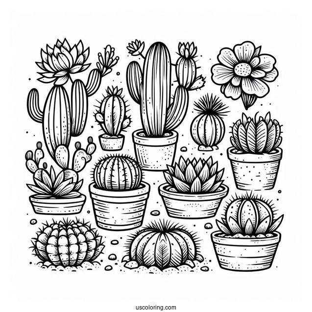 Assorted Cactus And Succulents In The Desert