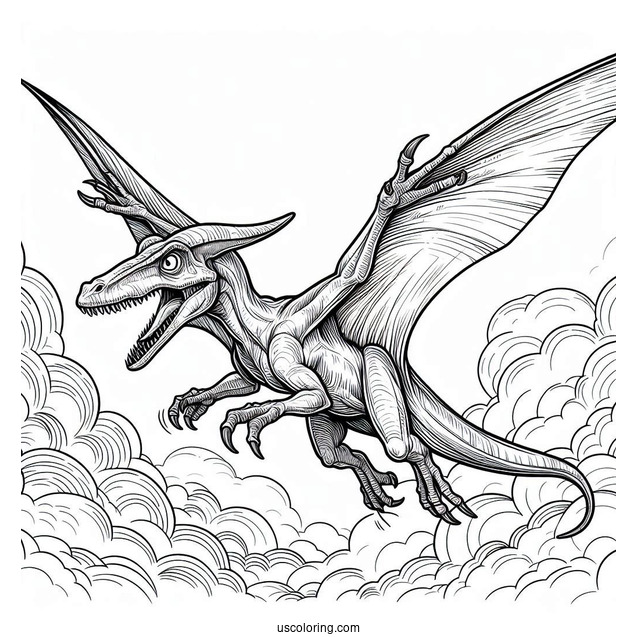 Pterodactyl Coloring Page About To Attack From The Sky