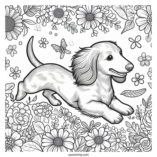 Dachshund Coloring Page Running In Flower Garrden