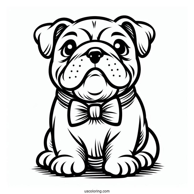 Friendly Adult Bulldog