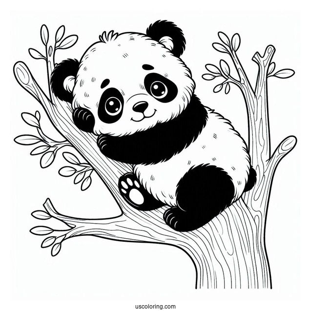 Baby Panda Resting In Tree To Color