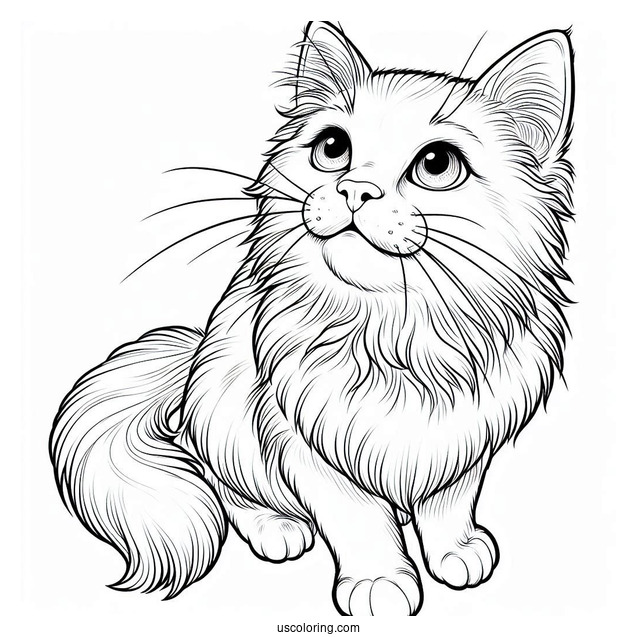 Adult Cat Looking Up Coloring In