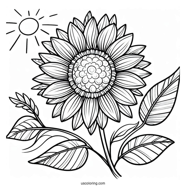 Flower Coloring Pages Of Cartoon Sunflowers In The Sun