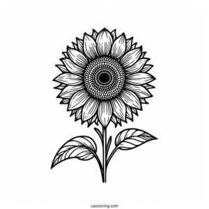 Simple Sunflower To Color