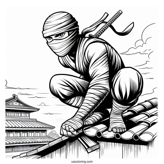 Ninja Crouched On A Roof Coloring Sheet