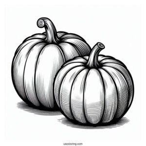 Two Different Sized Pumpkin Coloring Page