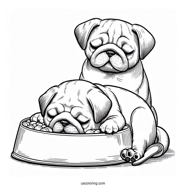 Adorable Pug Sleeping In Front Of Bowl