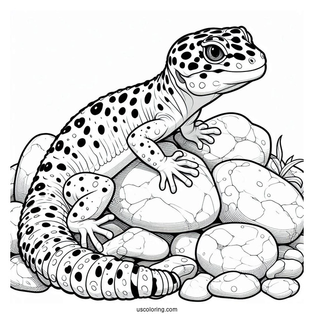 Leopard Gecko Lizard Coloring Page On Rocks