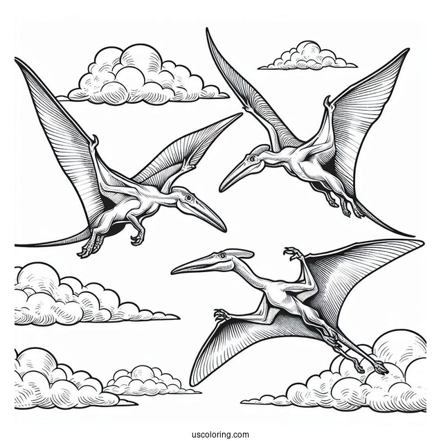 Four Adult Pterodactyl Coloring Page In The Sky