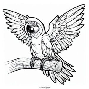 Macaw Parrot Coloring Sheet