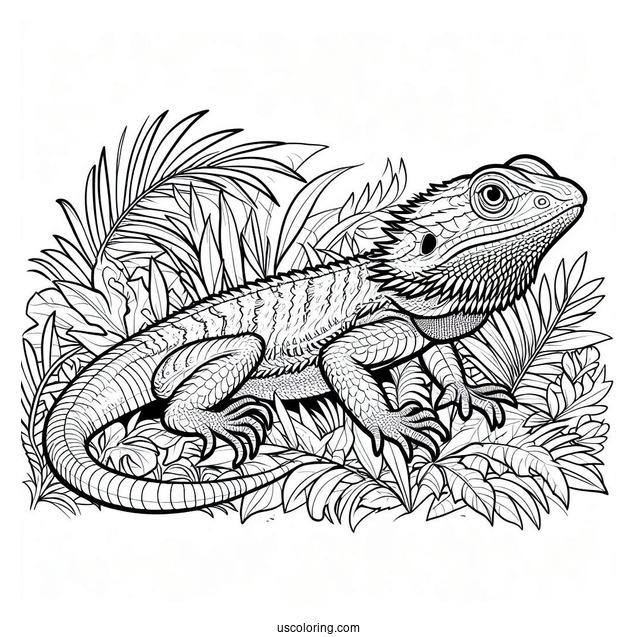 Lizard Coloring Page of Bearded Dragon Lizard In Jungle