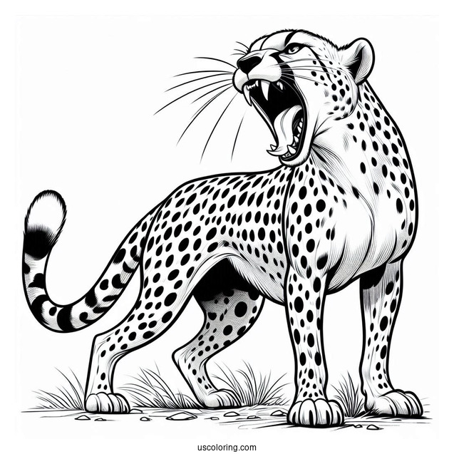 Large Cheetah Coloring Page Hissing