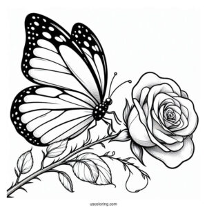 Butterfly Resting On Rose Stem