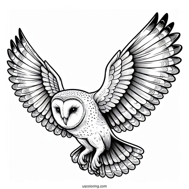 Barn Owl Flying With Large Wings