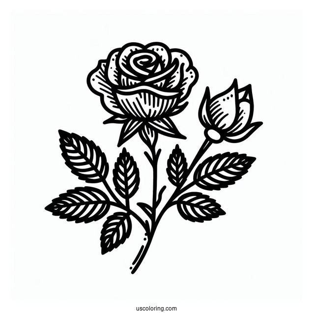 Simple Single Rose To Color