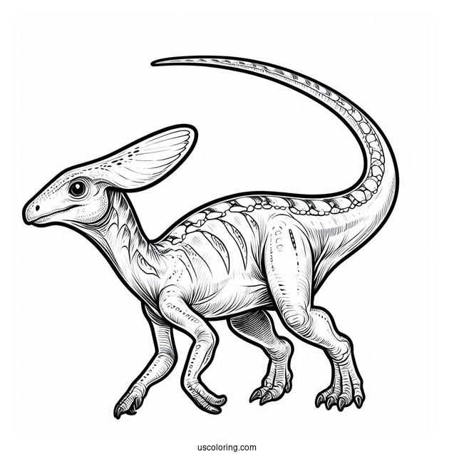 Parasaurolophus Coloring Page Fossil