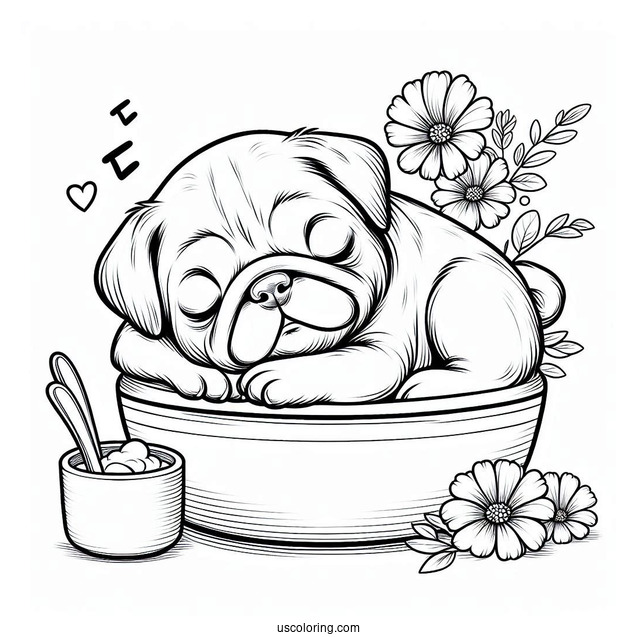 Adorable Pug Sleeping In Front Of Bowl