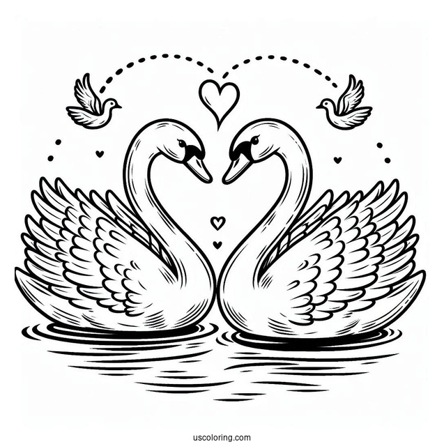 Swan Coloring Page Forming Heart Shape With Their Necks