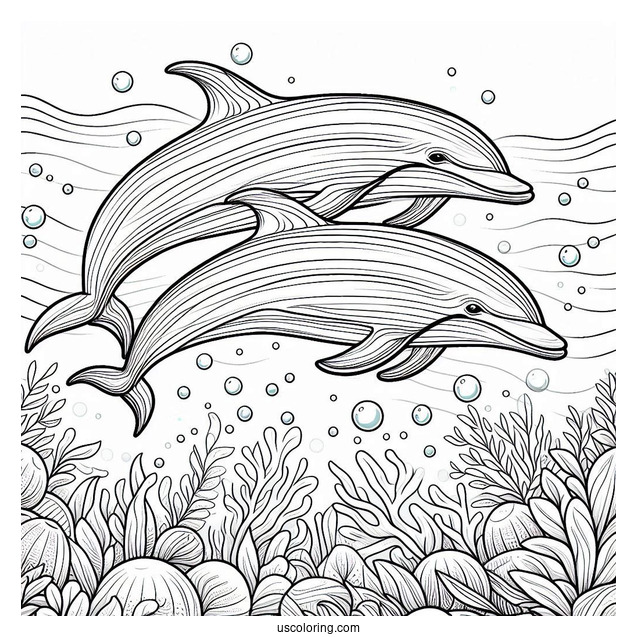 Two Striped Dolphins Swimming In Ocean