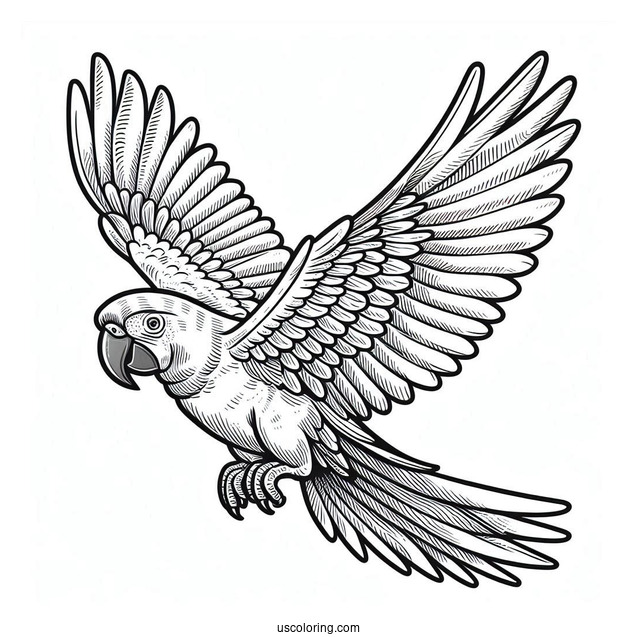 Flying Hyacinth Macaw Parrot