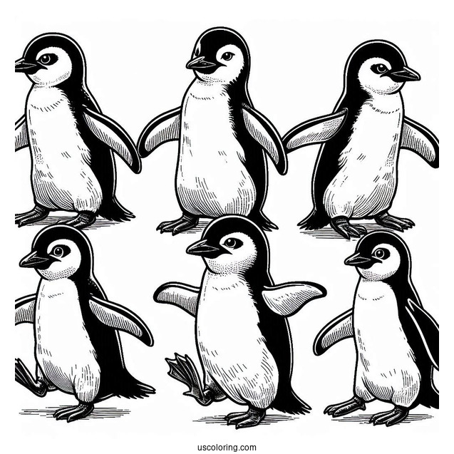 Marching African Penguins Coloring Sheet