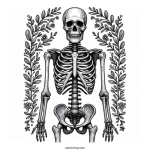 Realistic Adult Skeleton Coloring Page