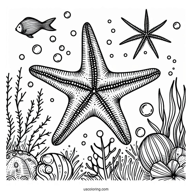 Detailed Starfish Coloring Page Underwater
