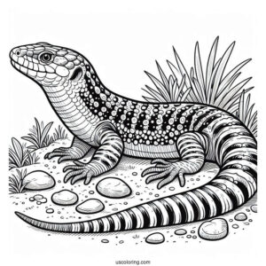 Lizard Coloring Page of Scaly Blue Tongued Skink On Ground