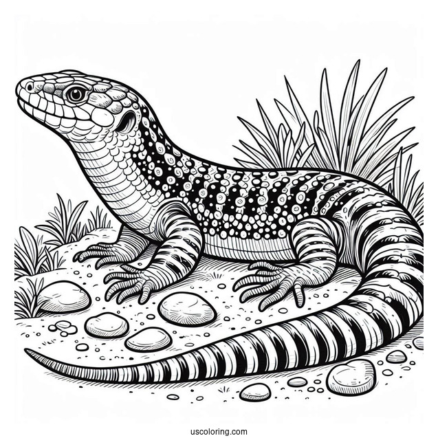 Lizard Coloring Page of Scaly Blue Tongued Skink On Ground