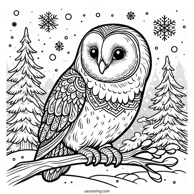 Simple Barn Owl In Snow To Color