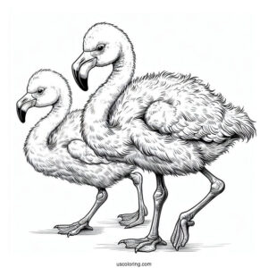 Realistic Baby Flamingo To Color
