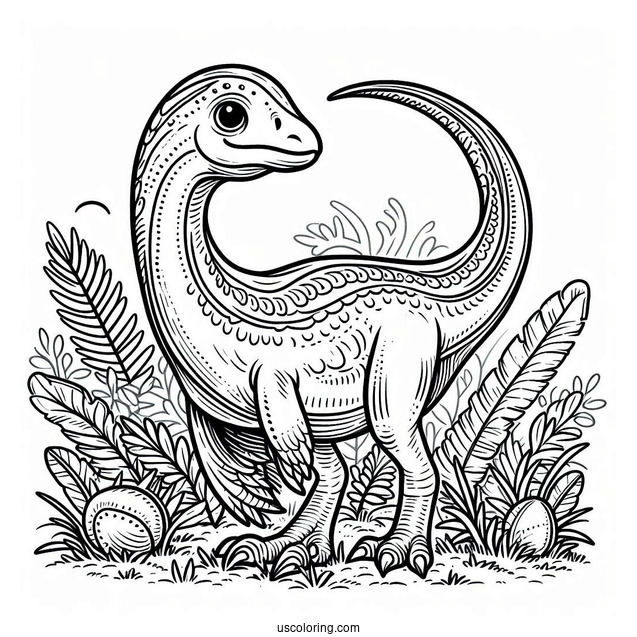 Compsognathus Dinosaur Coloring Sheet For Kids