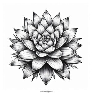 Realistic Succulent Coloring Page With Cactus