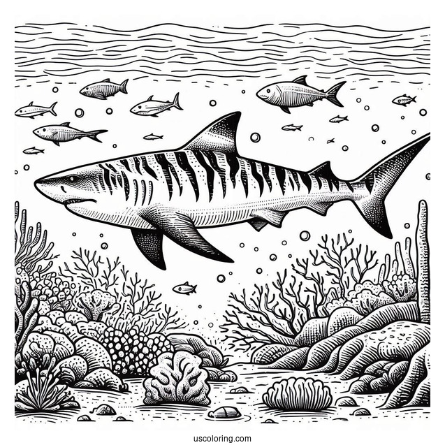 Tiger Shark Coloring Page Deep In The Ocean