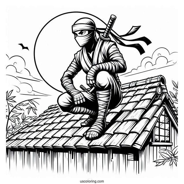 Ninja Crouched On A Roof Coloring Sheet