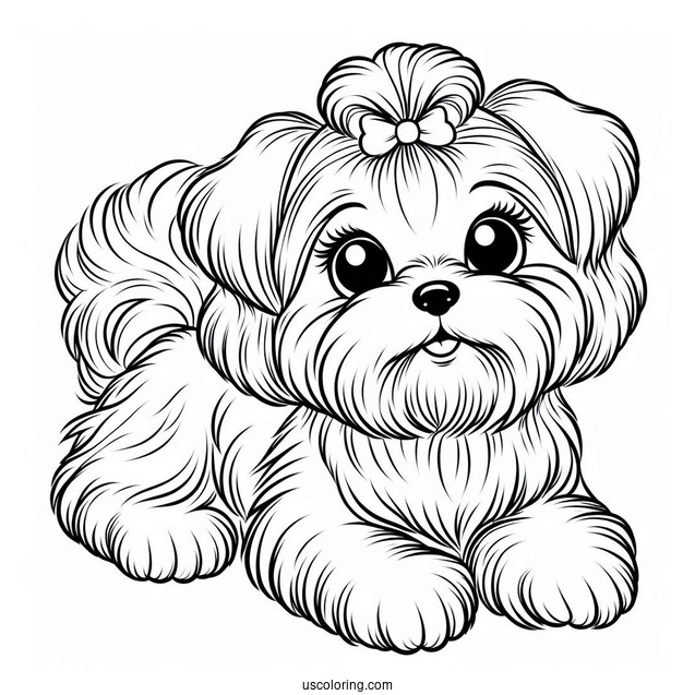 Coloring Sheet Of Maltese Dog With Paw Up