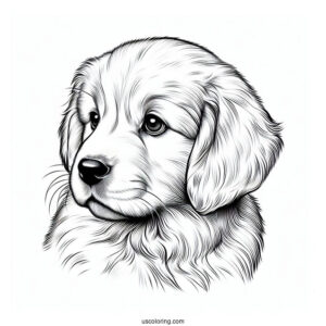 Golden Retriever Puppy Staring Into Distance