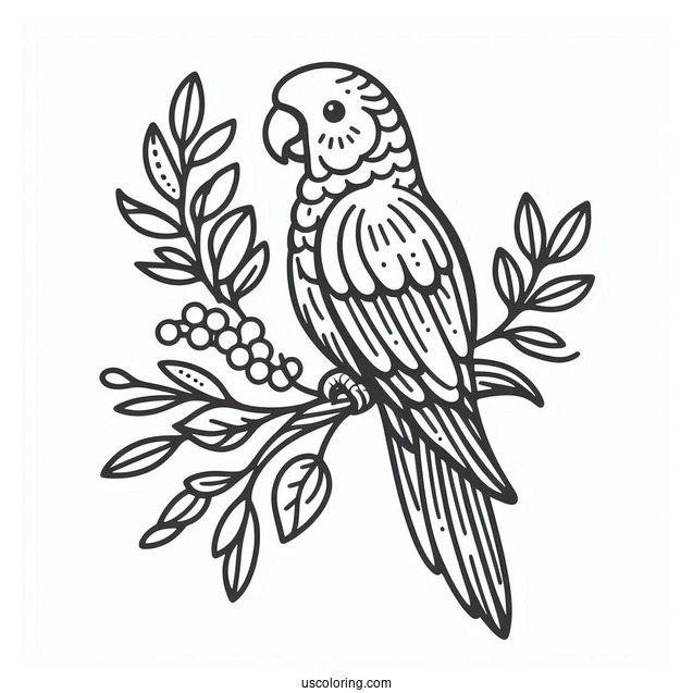 Simple Outline Of Parrot To Color