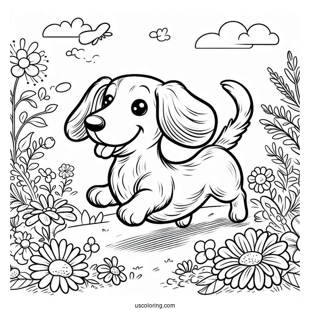 Dachshund Coloring Page Running In Flower Garrden