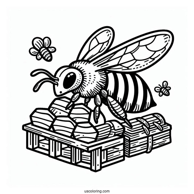 Simple Apiary Of Bee Coloring Page