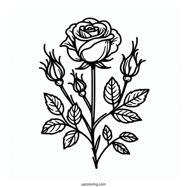 Rose Stem Coloring Sheet