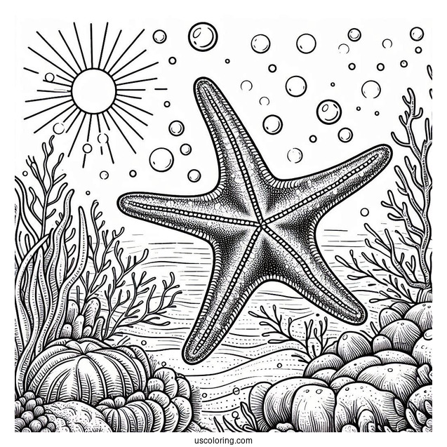 Large Starfish Coloring Page In Coral Reef For Kids