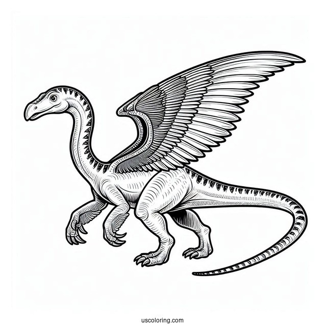 Compsognathus Dinosaur Coloring Sheet For Kids