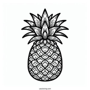 Easy Outline Of Pineapple Coloring For Kids