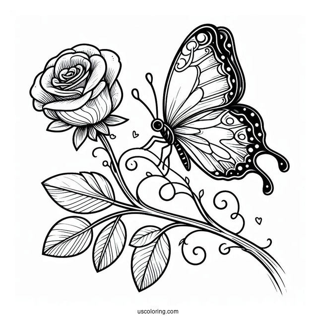 Butterfly Resting On Rose Stem